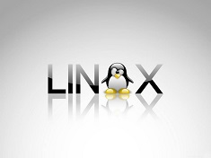 linux